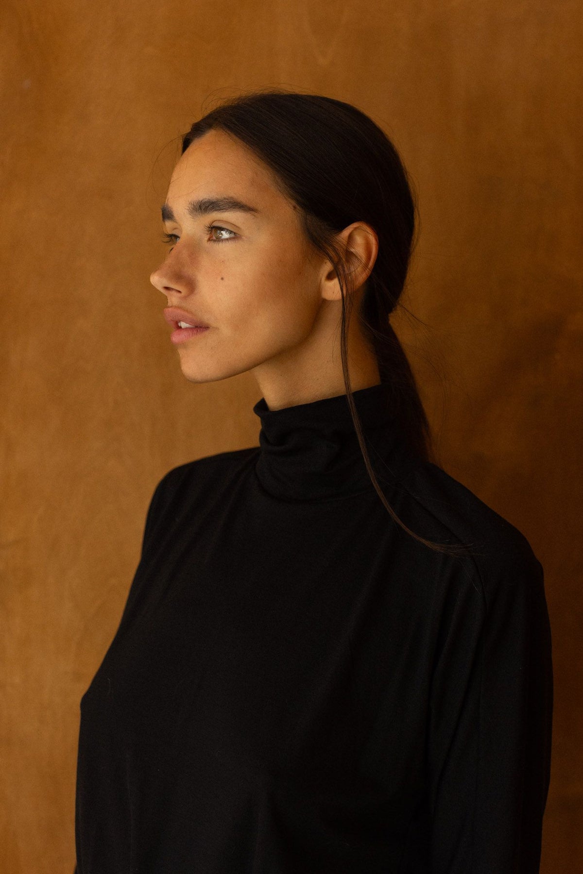 Fine Turtleneck black